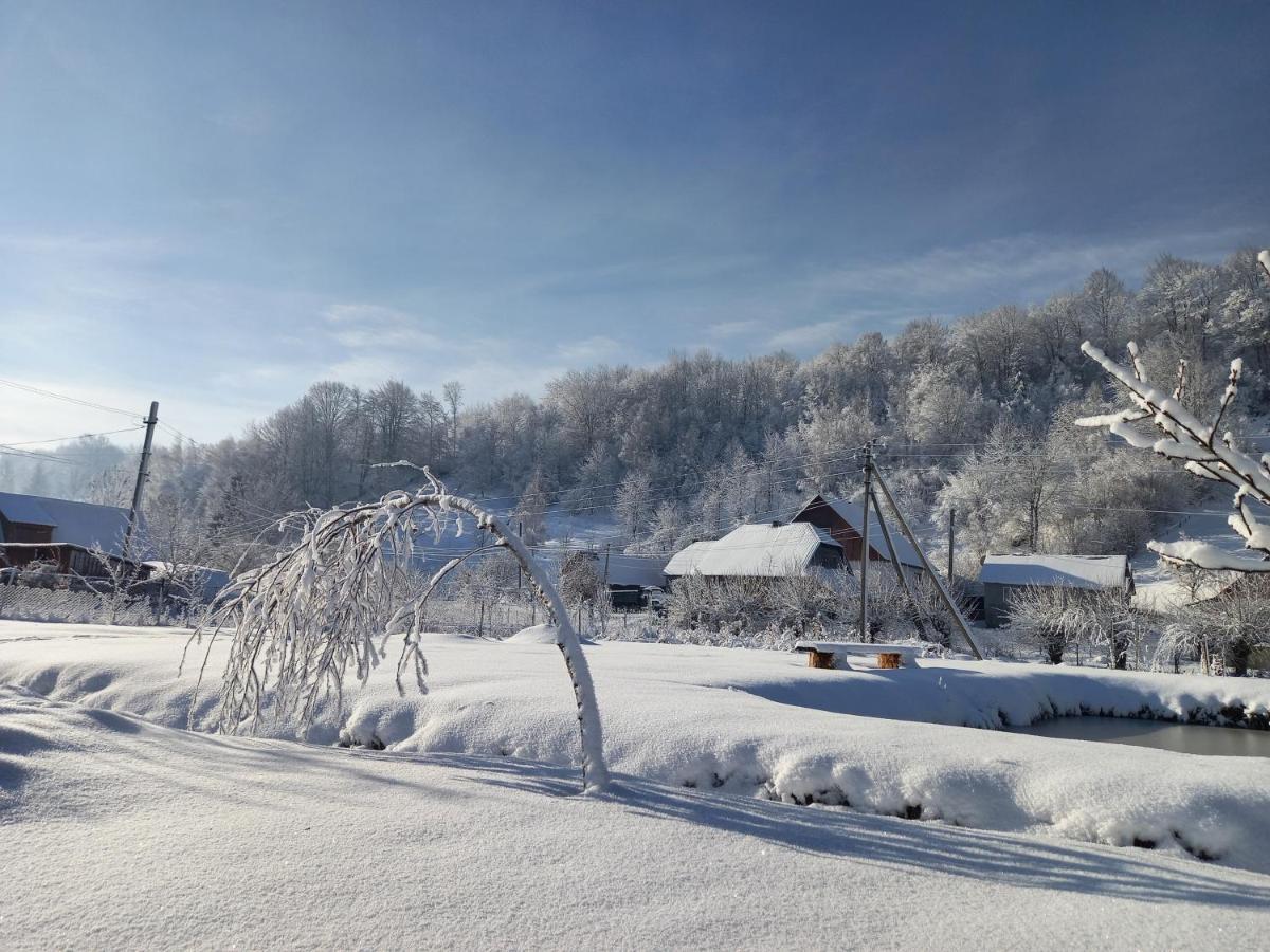 Садиба Райський Куточок Synevyr Buitenkant foto