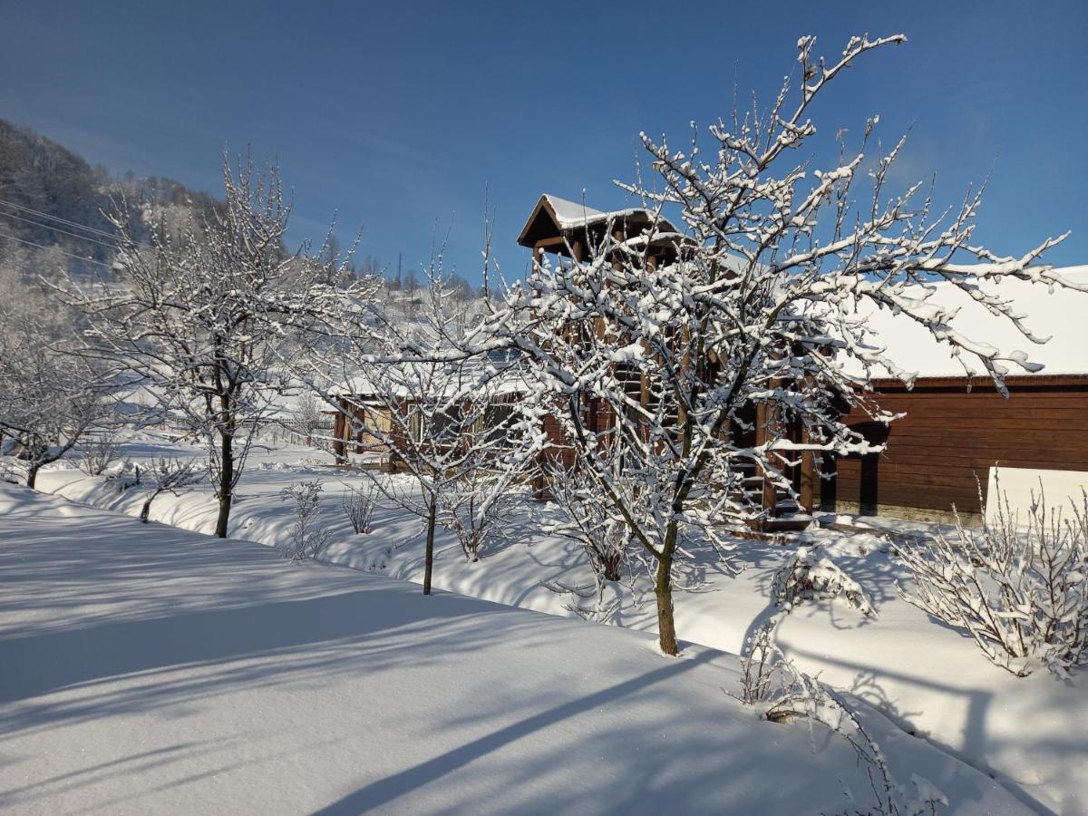 Садиба Райський Куточок Synevyr Buitenkant foto